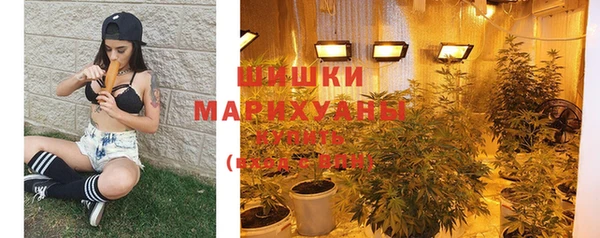 PSILOCYBIN Богородск