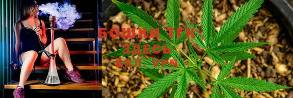 PSILOCYBIN Богородск
