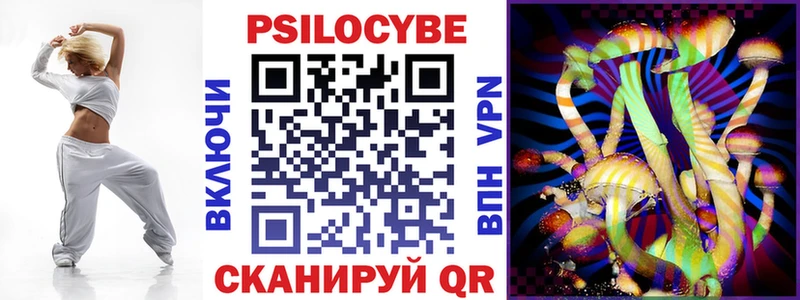 где найти   Нелидово  Псилоцибиновые грибы мицелий 